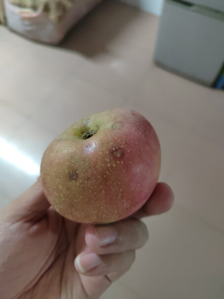 鲁禧山东红富士5斤高山丑苹果真的好吗？买前必知！