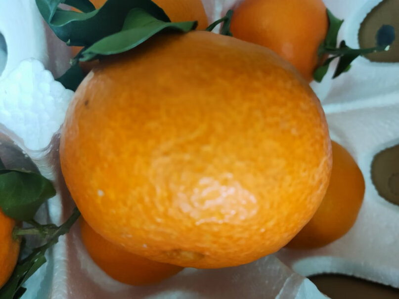 鲜仑四川爱媛果冻橙柑橘子新鲜水果可靠性如何？图文评测爆料分析？