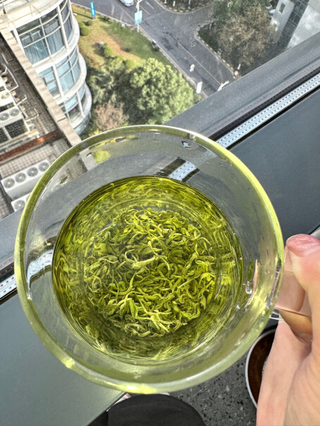 乐品乐茶 特级毛尖绿茶 2023新茶明前春茶使用感受如何？真实评测体验曝光！