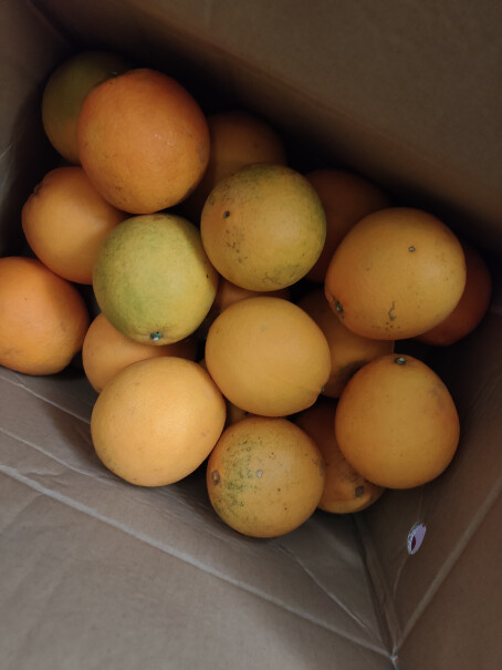 京丰味橙子脐橙优选大果 礼盒10斤好用吗？看完这篇评测就行了！
