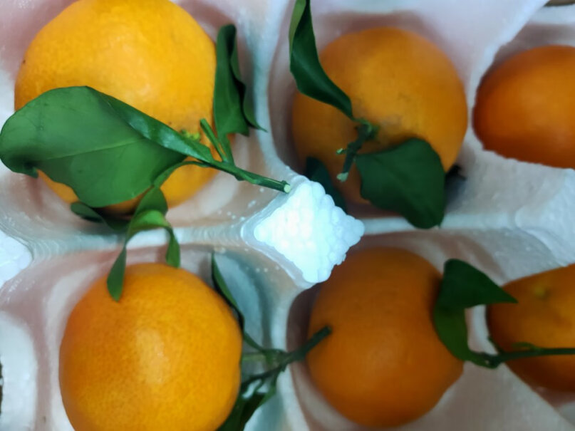 鲜仑四川爱媛果冻橙柑橘子新鲜水果可靠性如何？图文评测爆料分析？