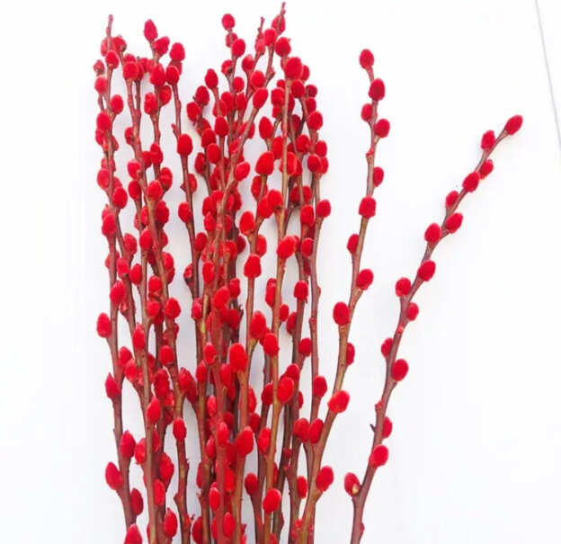 双盟银柳真花鲜枝摆件红色客厅装饰用户体验如何？最真实的使用感受分享！
