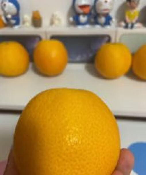 京丰味橙子脐橙优选大果 礼盒10斤简单易上手吗？全方位深度评测解析！