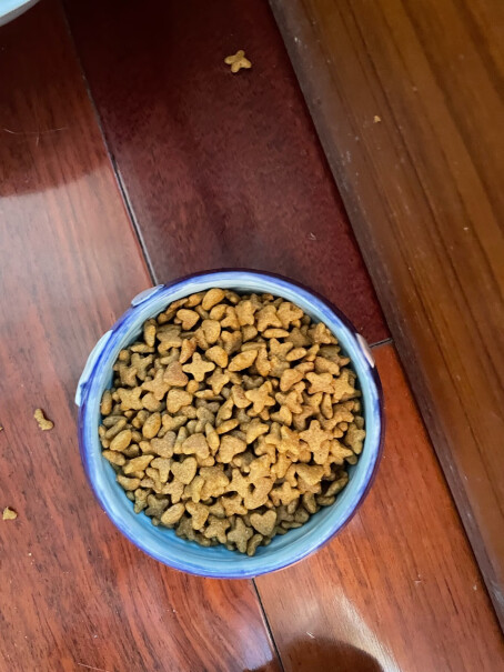 妙多乐猫粮成猫10kg全价均衡营养元旦会有活动吗？
