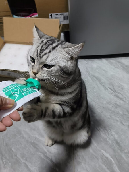 京东京造 化毛膏猫用120g 营养膏使用感受如何？使用感受！