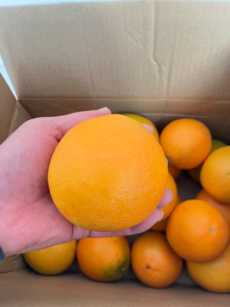 京丰味 赣南脐橙 新鲜当季水果礼盒怎么样？深度爆料评测分享？