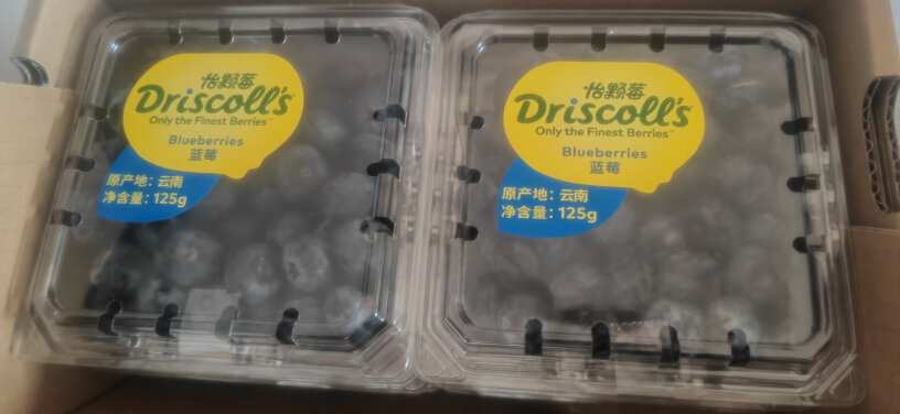 怡颗莓蓝莓12月份是云南蓝莓成熟期吗？