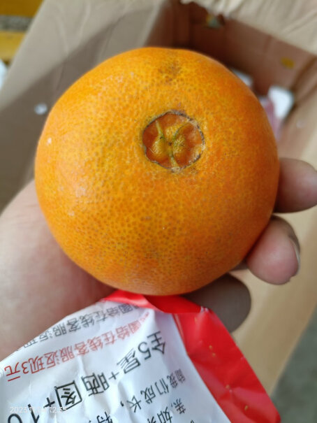 X-PLUS四川爱媛果冻橙礼盒是否值得入手？功能评测介绍？