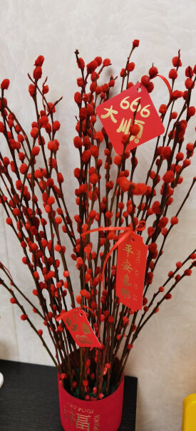 双盟银柳真花鲜枝摆件红色客厅装饰使用怎么样？评测教你怎么选？
