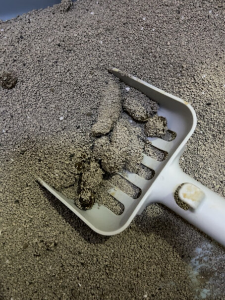 HONEYCARE好命天生猫砂 矿土低尘活性炭除臭膨润土猫砂分享一下使用心得？最新评测揭秘！