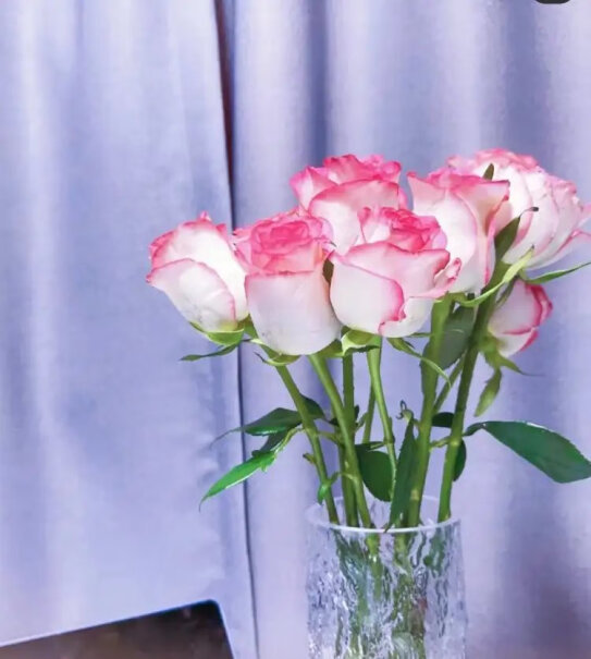 简势鲜切花品质玫瑰花生日礼物女是否值得入手？图文评测，轻松了解！
