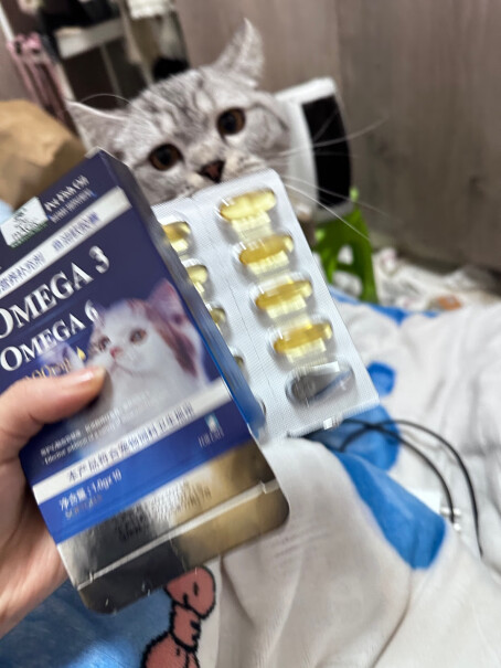 绝魅鱼油猫咪软胶囊评测值得买吗？产品功能评测？