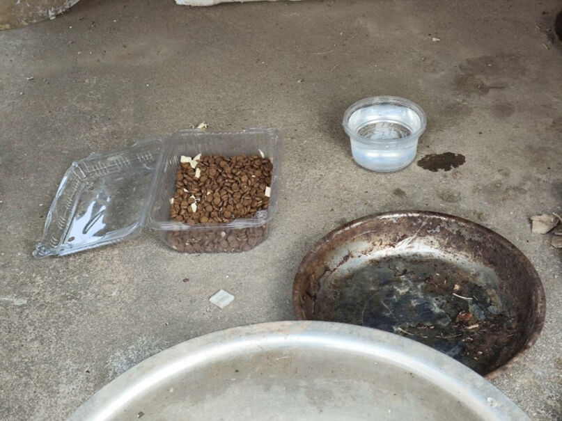 阿飞和巴弟猫干粮单猫粮不放冻干猫喜欢吃吗？