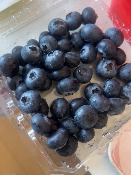 怡颗莓蓝莓当季的新鲜吗？最近发出的）？