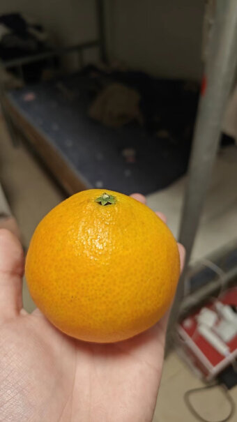 鲜仑四川爱媛果冻橙柑橘子新鲜水果真的好吗？图文评测！