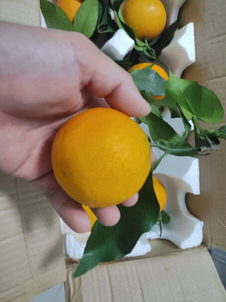 鲜菓篮 爱媛果冻橙柑橘 5斤精选装值得买吗？专家评测分析？