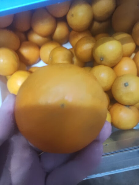 鲜仑四川爱媛果冻橙柑橘子新鲜水果适合入手吗？网友评测点评？