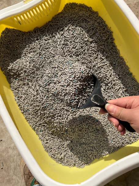 阿皮鲁猫砂使用体验怎么样？看完这个评测就知道了！