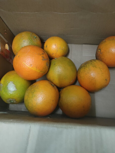 京丰味橙子脐橙优选大果 礼盒10斤推荐哪款？使用体验报告分享？