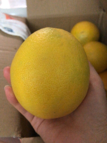 京丰味 赣南脐橙 新鲜当季水果礼盒推荐哪款？性能评测实际情况？