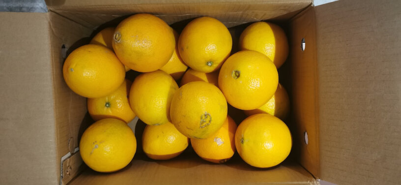 京丰味赣南脐橙水果年货礼盒10斤应该注意哪些方面细节？最新款评测？