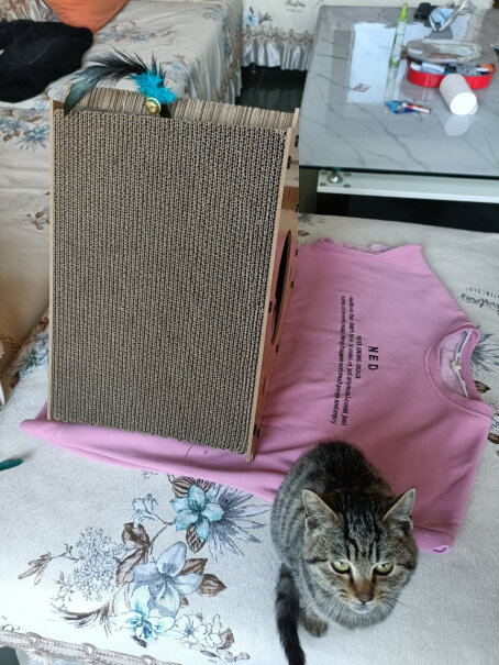 宠辞典三角猫抓板尺寸有多大？