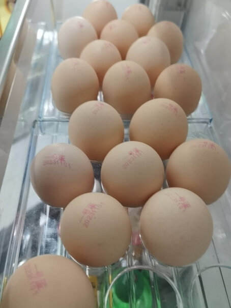 1号会员店 送12箱鲜食鸡蛋可以入手吗？评测分享？
