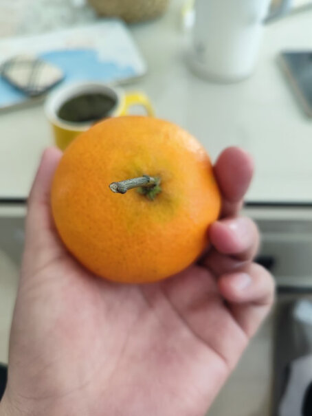 鲜菓篮 爱媛果冻橙柑橘 5斤精选装入手评测到底要不要买？来看下质量评测怎么样吧！