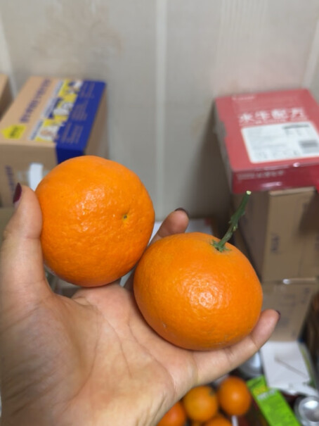 鲜仑四川爱媛果冻橙柑橘子新鲜水果值得买吗？使用两个月评测反馈！