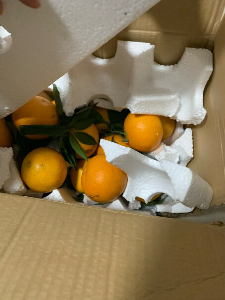 鲜菓篮 爱媛果冻橙柑橘 5斤精选装评测质量好吗？深度剖析评测功能！