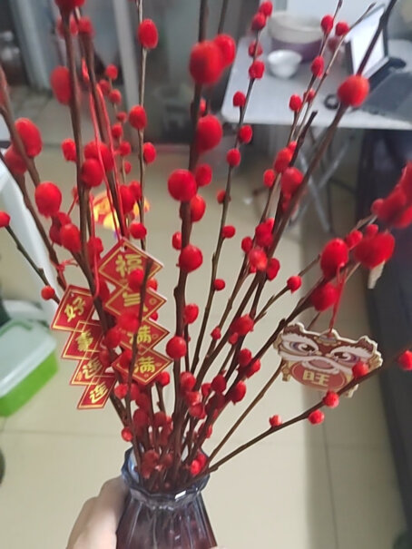 途程家庭清洁湿巾银柳干花摆件红色年宵花卉使用感受如何？深度剖析功能特点！