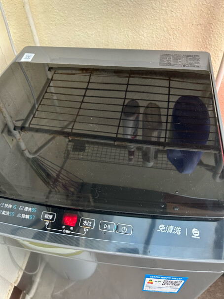 小天鹅TB100V23H-1洗衣机的容量大吗？