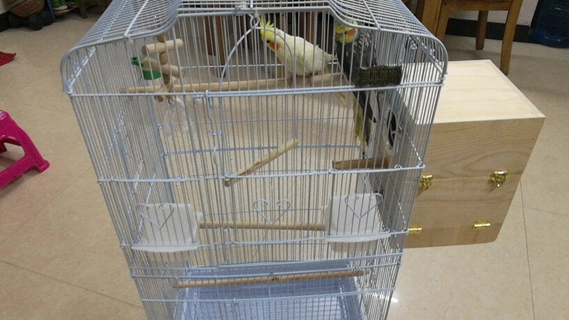 宠儿新家玄凤虎皮鹦鹉笼子我看介绍里有鸟罩子。都是带的吧？