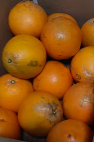 京丰味橙子脐橙优选大果 礼盒10斤反馈怎么样？产品功能评测？