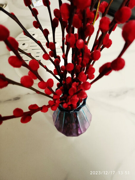 双盟银柳真花鲜枝摆件红色客厅装饰推荐哪种好用？三分钟了解评测？