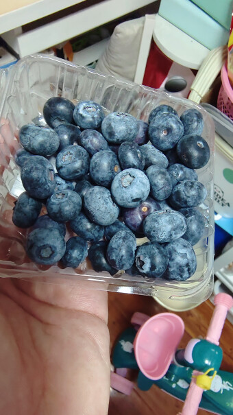 怡颗莓蓝莓性价比高吗？良心测评分享。