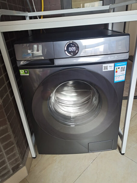 小天鹅TG100RVIC这款洗衣机用的什么电机？