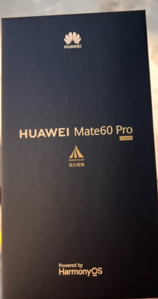 华为 Mate 60 Pro 手机杭州的有看见支付按钮的吗，我怎么看都是直接没货？