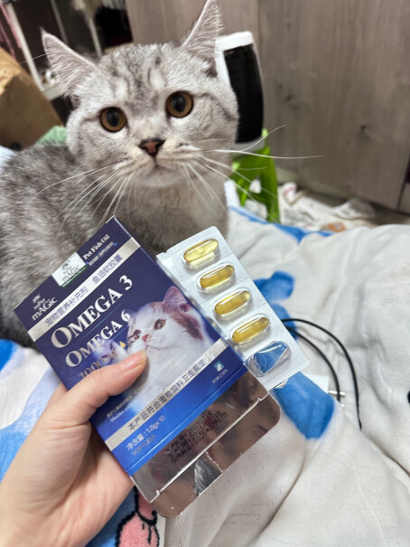 绝魅鱼油猫咪软胶囊评测值得买吗？产品功能评测？