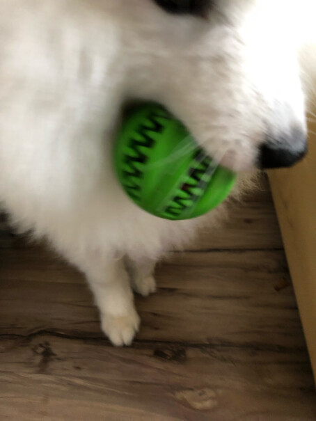 狗玩具宜特不倒蛋漏食球狗狗玩具漏食球哪个更合适,质量靠谱吗？