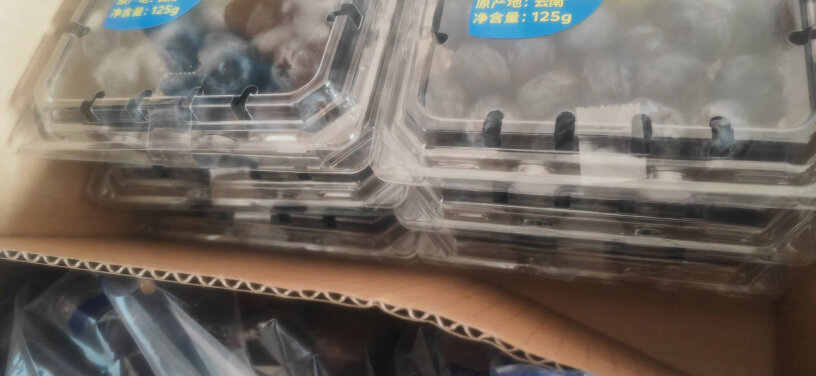 怡颗莓蓝莓可以入手吗？产品体验揭秘测评？