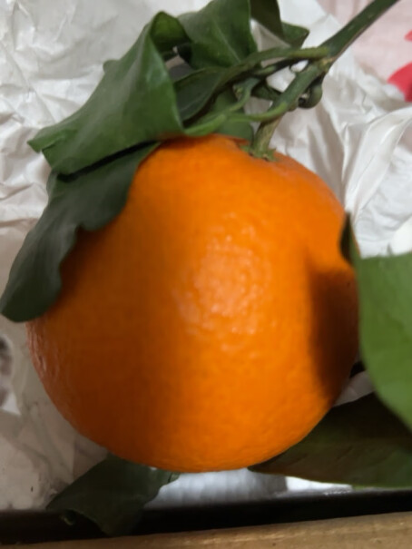 X-PLUS四川爱媛果冻橙礼盒评测性价比高吗？用户评测真实曝光？