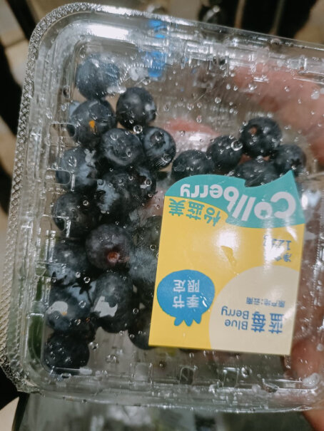 京鲜生云南蓝莓大果18mm礼盒装使用舒适度如何？体验评测揭秘分析？