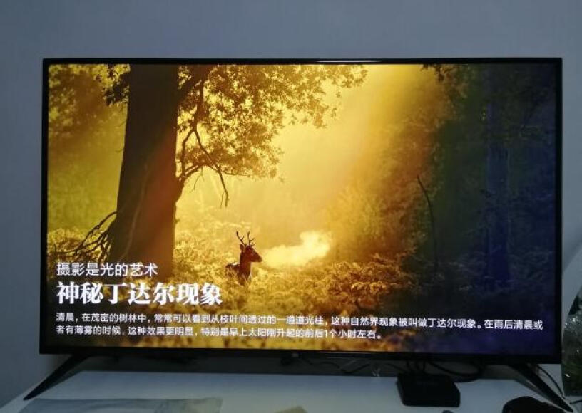 小米电视4A50英寸尺寸是多少？