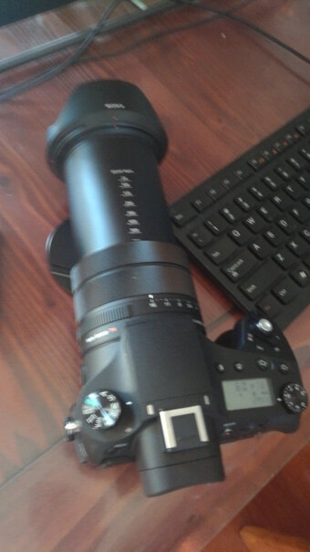 索尼DSC-RX10M3数码相机和佳能5D3配腾龙150-600二代拍飞鸟相比有差距吗？