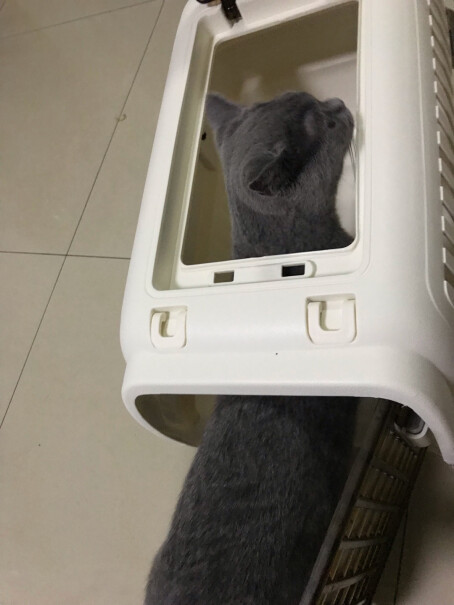 猫乐适猫咪航空箱外出手提便携式托运箱10斤的猫是买500型的还是600型的？