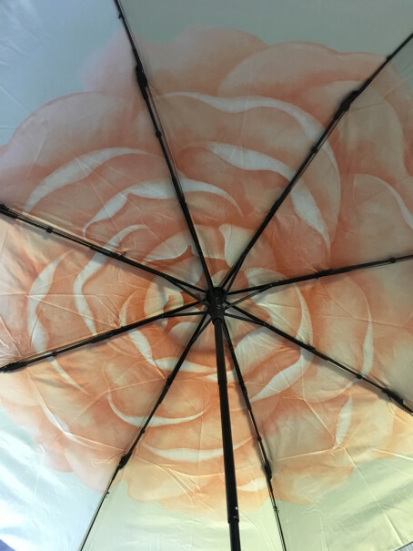 蕉下太阳伞双层小黑伞系列三折伞绯月山茶和茉白实物图哪个好看？
