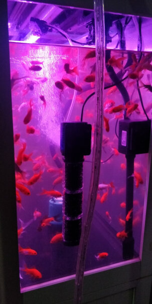 森森鱼缸过滤器静音增氧泵内置三合一潜水泵乌龟缸水族箱过滤设备我的鱼缸是长1，5米X宽300X高300需要什么型号的？