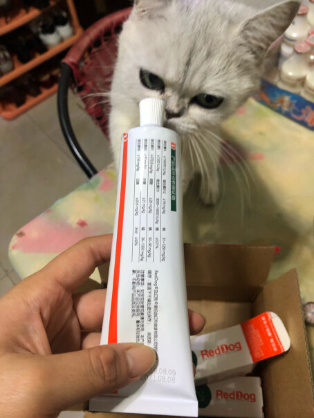 RedDog红狗猫用化毛膏营养膏猫咪现在不肯吃化毛膏，请问有什么好办法？