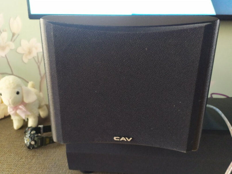 CAVTM1120音箱是不是实木？